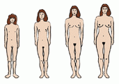 Feminia.gif