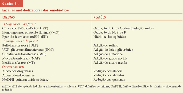 Arquivo:Imagemm.png