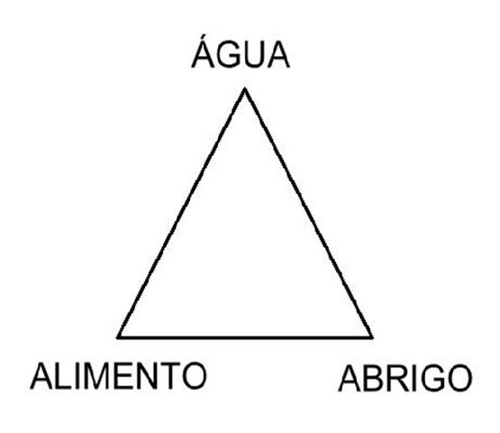 Arquivo:CCCC.jpg