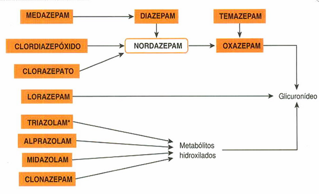 Arquivo:Benzodiazepínicos-eliminaçao.png