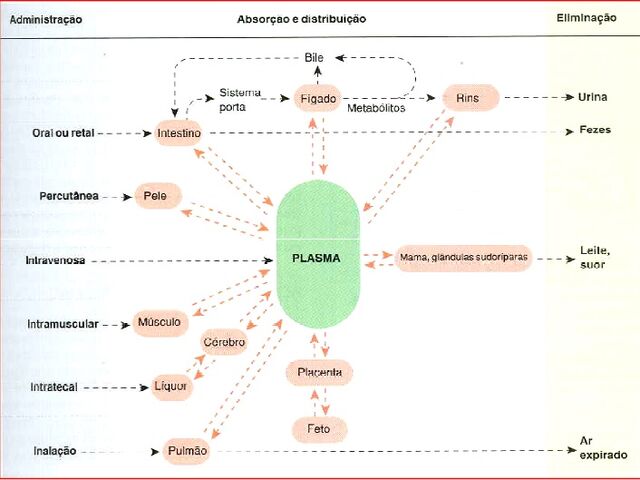 Arquivo:Eliminação.jpg