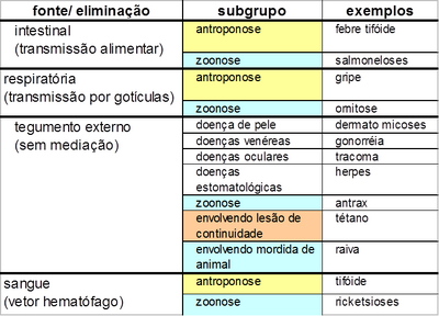 Classificação.png