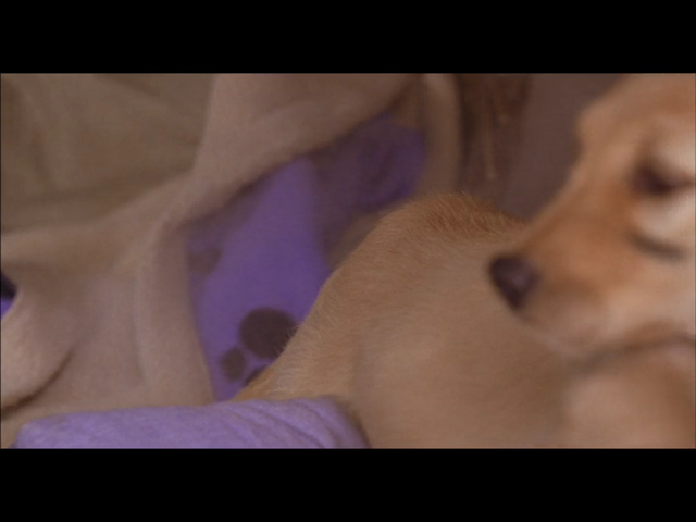File:IMG 3309.png
