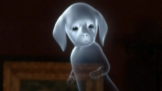 File:Alee192011091201h50m11s.png