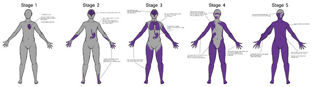 File:Flux spread.jpg