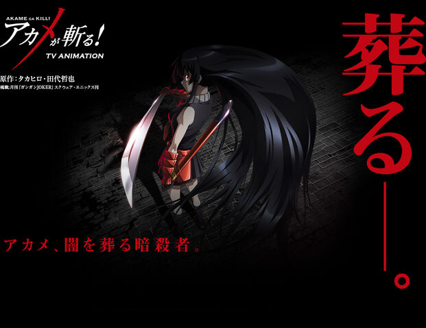 File:Akame tv 2.jpg