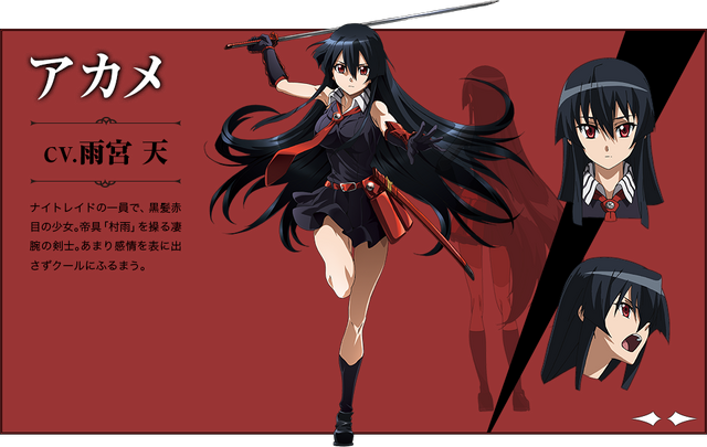 File:Character Akame.png