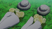 Ieyasus-und-Sayos-Grab.png