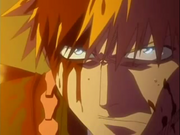 IchigosResolve.png