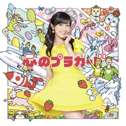 AKB48 Kokoro no Placard RegD