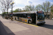 Lethbridge Transit