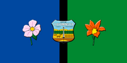 Llodminster flag