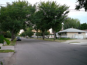 Dovercourt Avenue