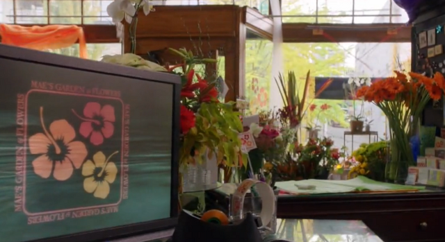 File:Maeflower.png