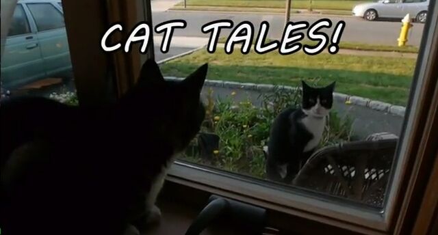 File:CatTales.jpg