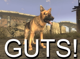 Guts