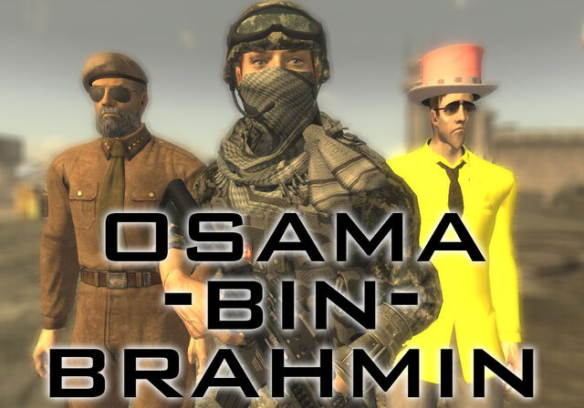 File:Brahmin.jpg