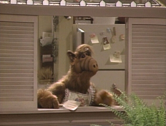 File:791px-Alf-Episode-002.jpg