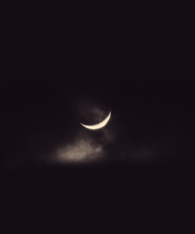 File:Tumblr m3n12zdBvq1rq33g6o1 500 large.gif