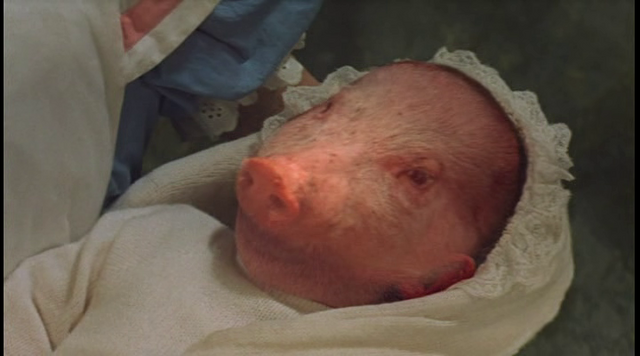Archivo:Bebé Cerdo-1972.png