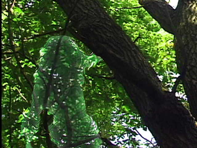 Plik:Cloack3.jpg