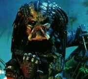 Predator.jpg