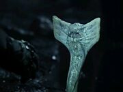 Cobralien.jpg