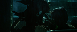 Plik:Fight.png