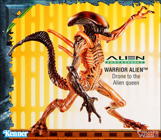File:Kenner warrior 01.jpg