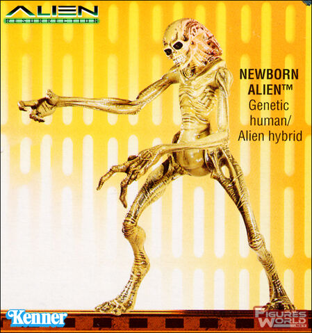 File:Kenner newborn 01.jpg