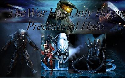 Predatorial Halo