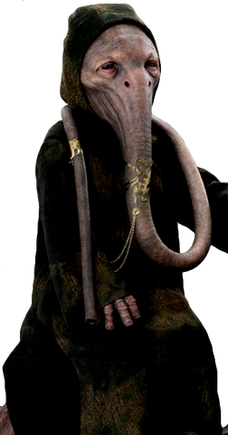File:Gwellis Bagnoro.png