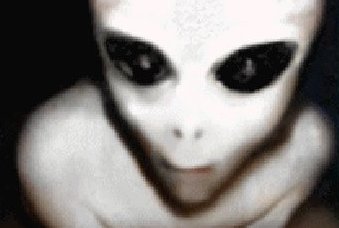 File:A-grey-alien-3489.jpg