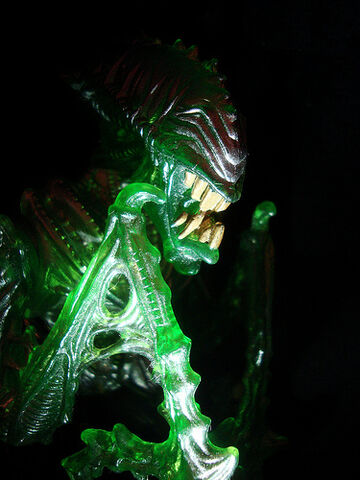 File:Mantis Xenomorph.jpg