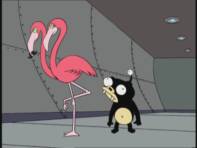 File:Hermaflamingos.jpg
