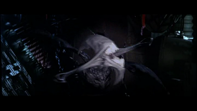 File:Vlcsnap-4347166.png
