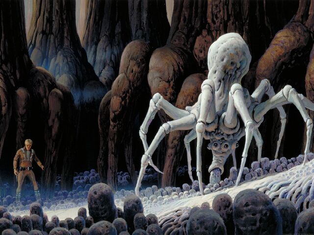 File:Knobby White Spider.jpg