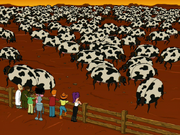 Buggalo Farm