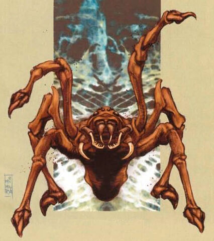 File:Rearing Spider.jpg