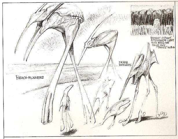 File:BeachRunner.png