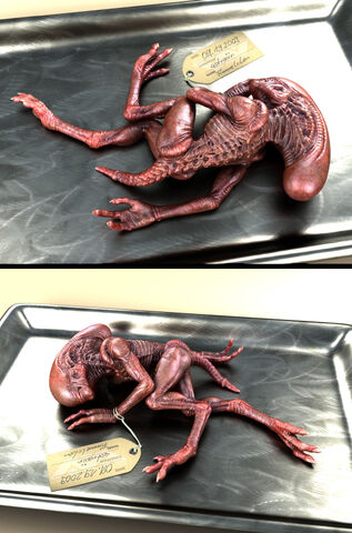 File:Alien-baby-final-back10b (1).jpg