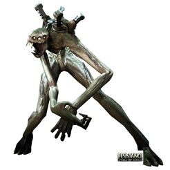 GrayJack