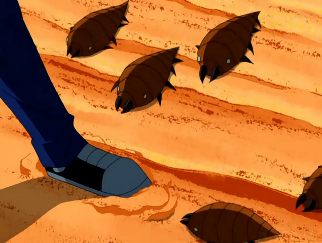 File:Dasypodidae.png