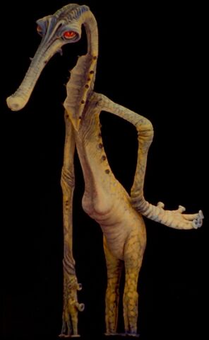 File:Glymphid.jpg