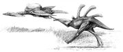 Am wayne barlowe rayback2