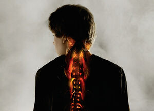 Falling Skies Harness