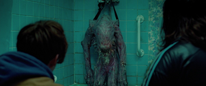 The Dead Female