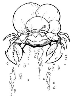 Sink Crab