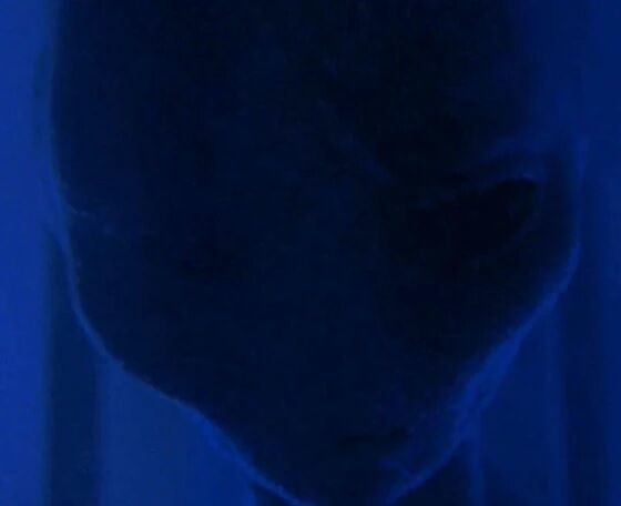 File:Colonist.jpg