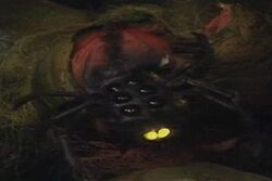 AlzarianSpider